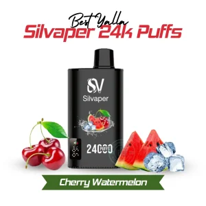 YALLA 24000 Puffs 50MG Cherry Watermelon Disposable Vape in Dubai