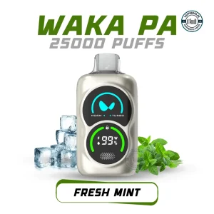 Waka PA 25000 Puffs Fresh Mint Disposable Vape 50 MG in UAE