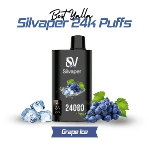 YALLA 24000 Puffs 50MG Grape Ice Disposable Vape in Dubai