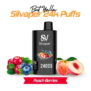 YALLA 24000 Puffs 50MG Peach Berries Disposable Vape in Dubai